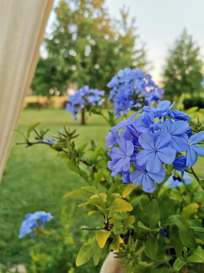 B&B Casazze Dream Marcaria Bagian luar foto